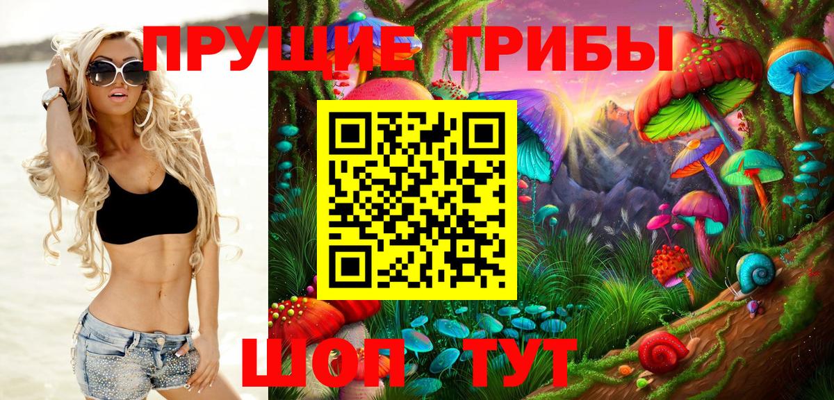Псилоцибиновые грибы Psilocybe  Вход с VPN  Тулун 