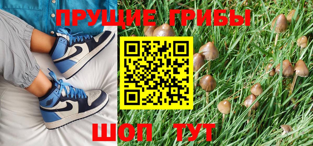 Псилоцибиновые грибы Psilocybine cubensis Тулун