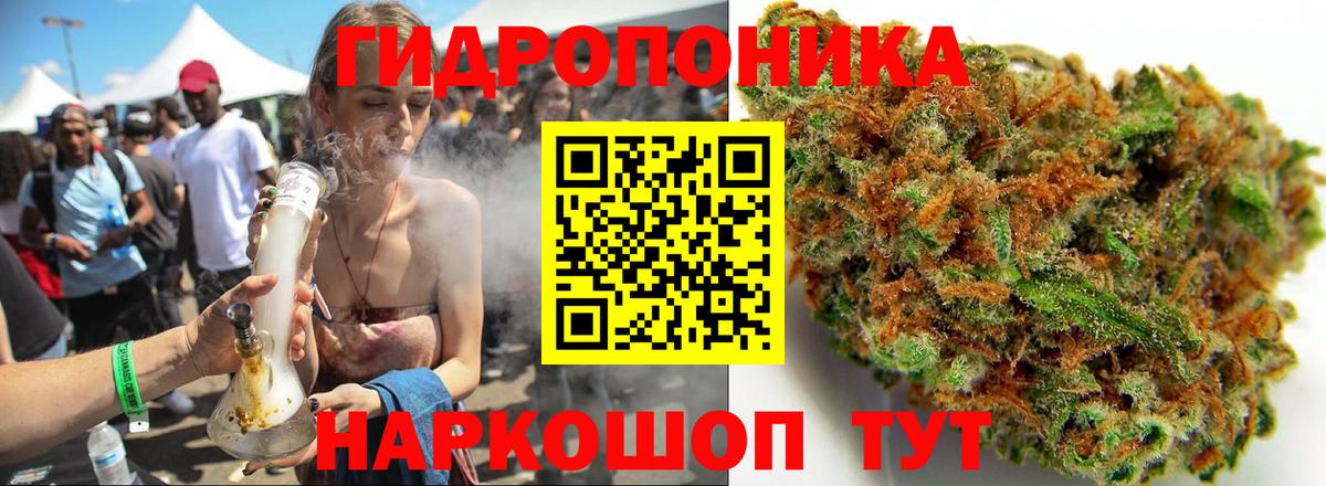 Бошки Шишки VHQ  Бошки марихуана план  Конопля VHQ  Тулун  Вход с VPN 